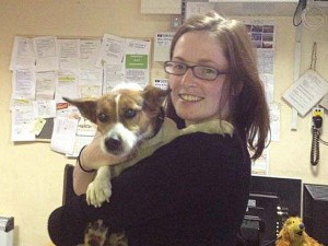 Twitter helps find dog that took train to Dublin